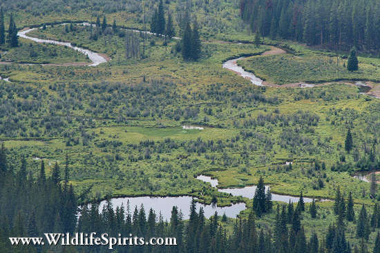 Click Picture to send as an  E-PostCard 65k 550x367